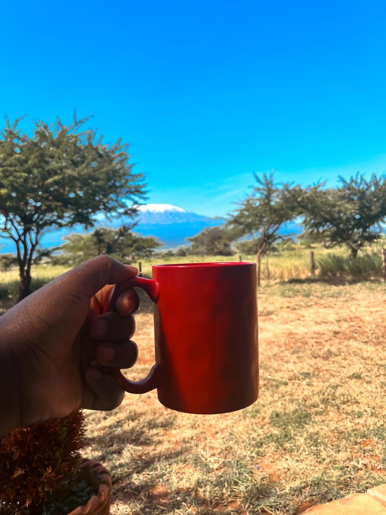 Kilimanjaro View Cabin-Amboseli Oloitokitok Room photo